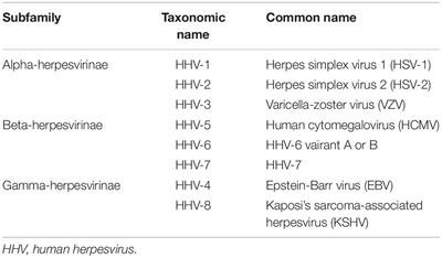 Post-translational Control of Innate Immune Signaling Pathways by Herpesviruses